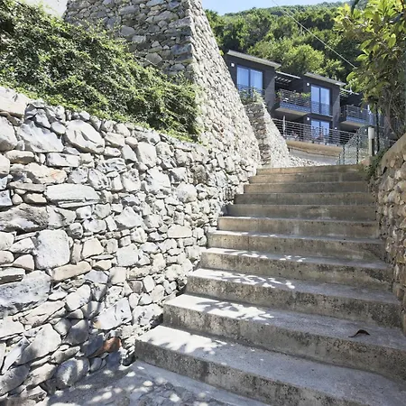 Daire Panorama Nesso